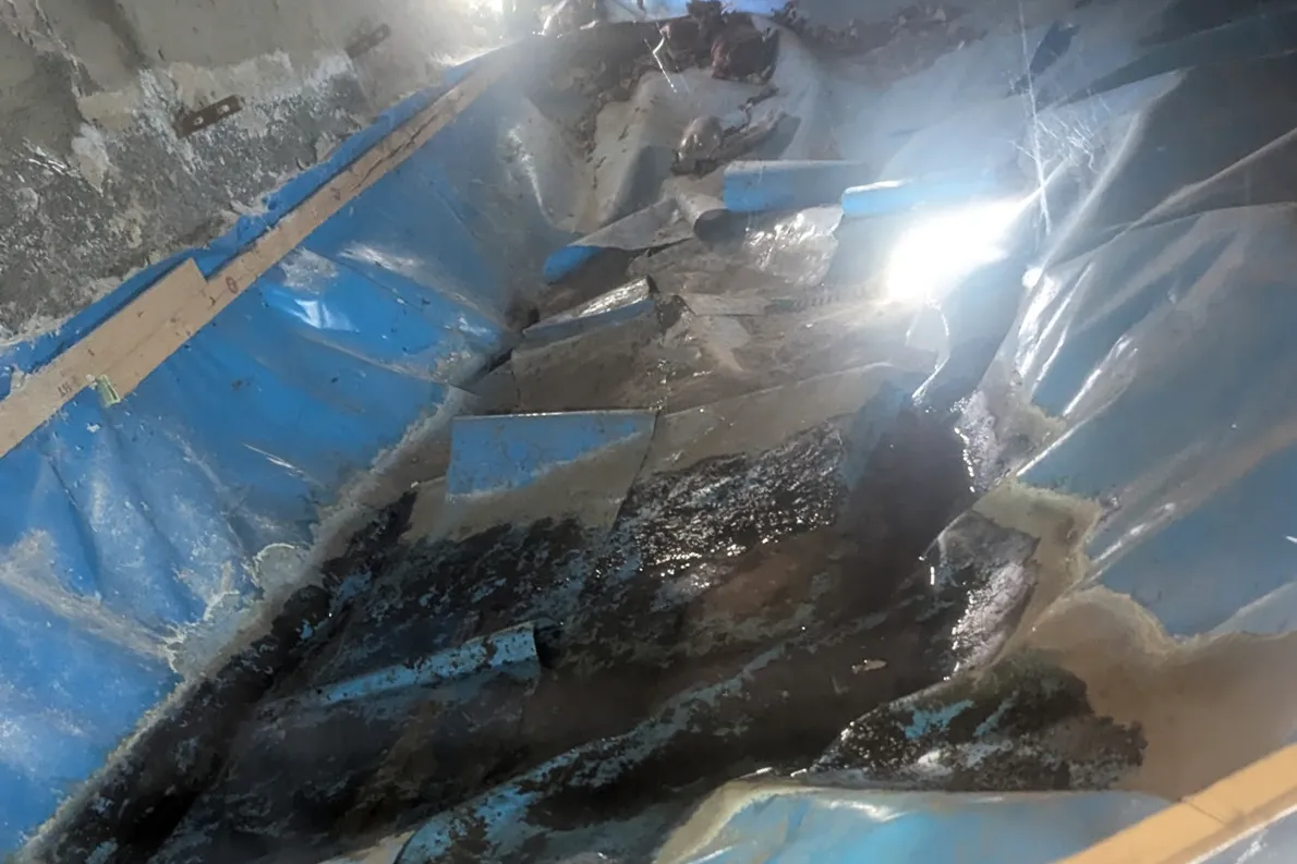 Damp crawl space with visible mold growth and moisture damage on wood beams and insulation
